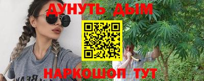 гидра Рязань