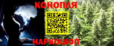 гидра Рязань