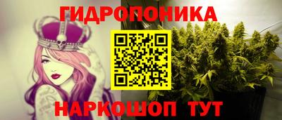 a pvp Рыбинск