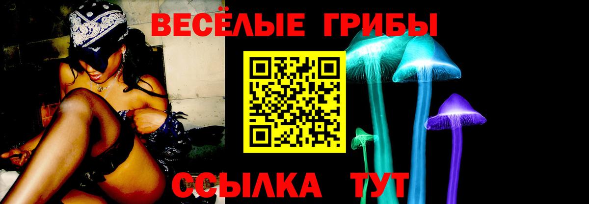 Галлюциногенные грибы Cubensis Реж